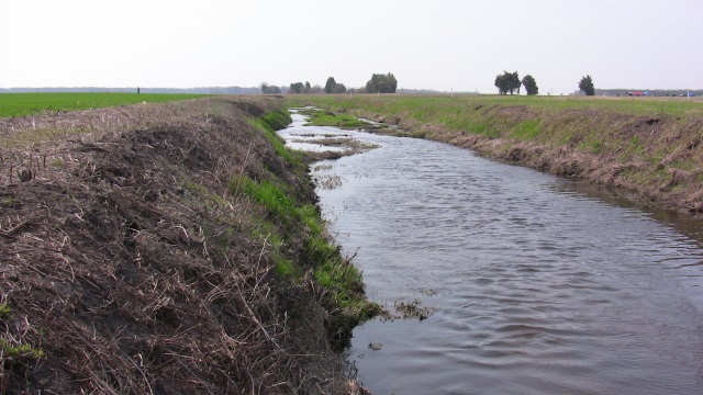 This stream is
        surprisingly easy to land in