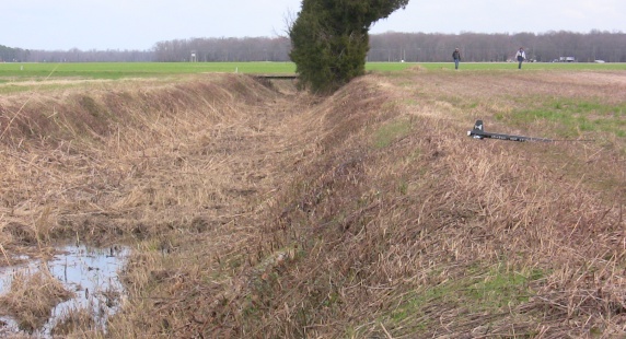 Shaken, Not Stirred
        just past the muddy ditch