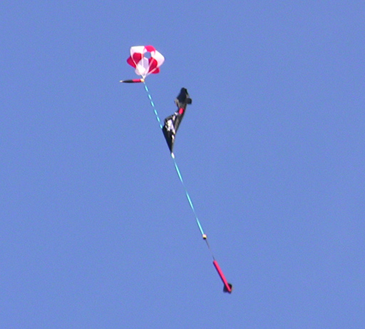 Queen Anne's Revenge under flag