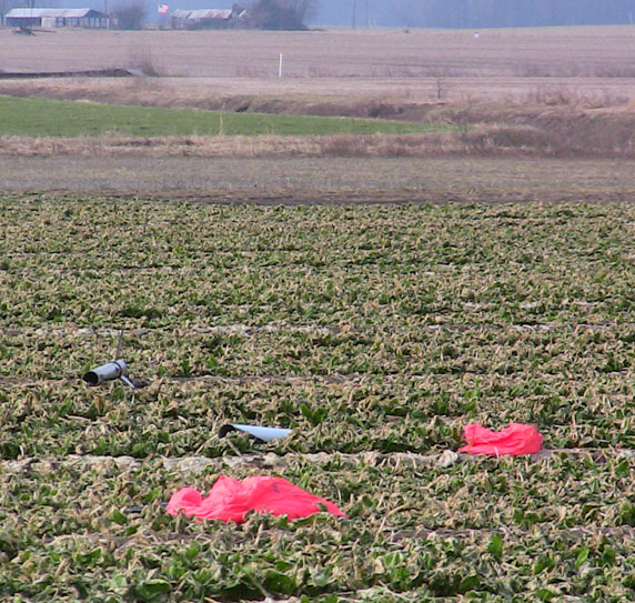 Shaken, Not Stirred in the spinach patch