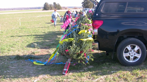 Neil's decorated tree called
        Jiminy F Christmas