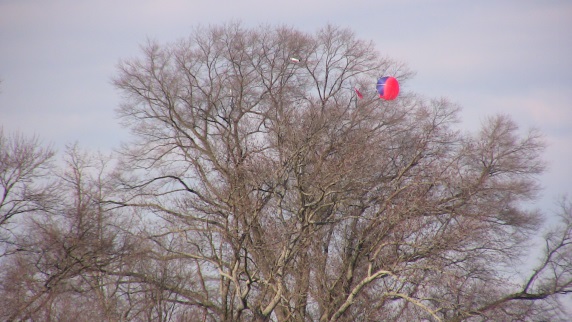 Punishment for those that curse the wind gods