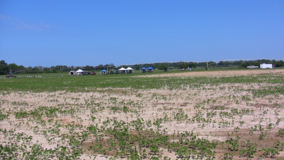 Sunday was typical of a summer launch