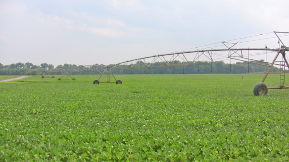 Massive Watering System
