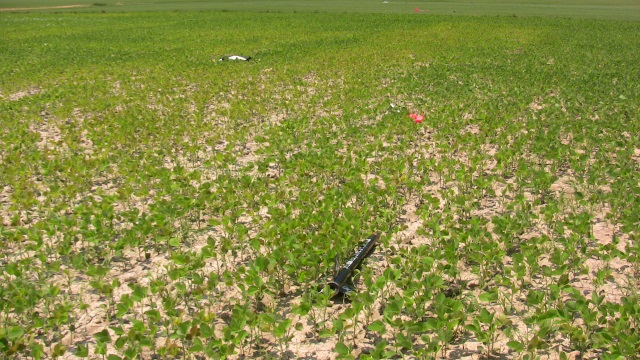 Shaken, Not Stirred easily
        visible in the soy beans