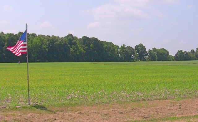 Enjoy the young soy beans before they grow up and eat your
        rocket