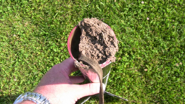 Shaken, Not Stirred full with dirt from the soft mud