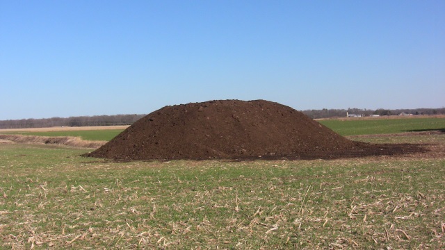 Pile of organic chicken
        fertilizer, luckily down wind