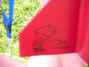 No Cowboy Fans Allowed