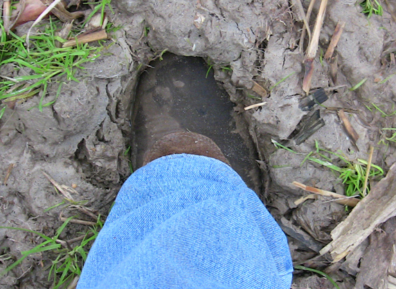 Muddy Field Conditions