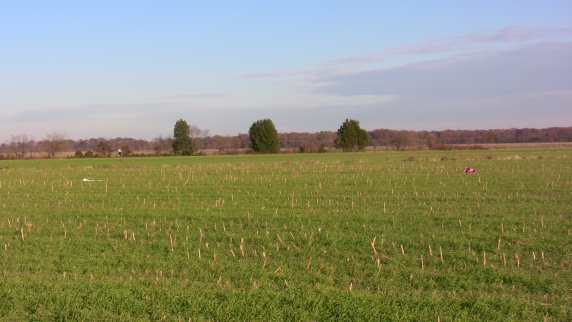 Sally
        Ride spread over the field after landing