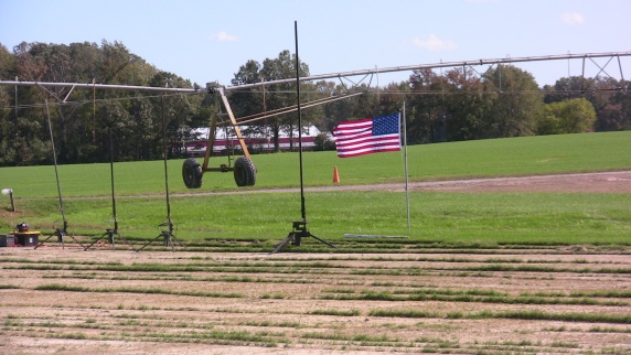 Sunny skies and
        strong winds