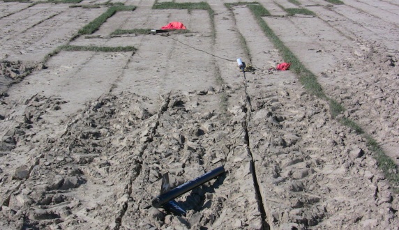 Shaken, Not Stirred came to
        rest in the plowed field