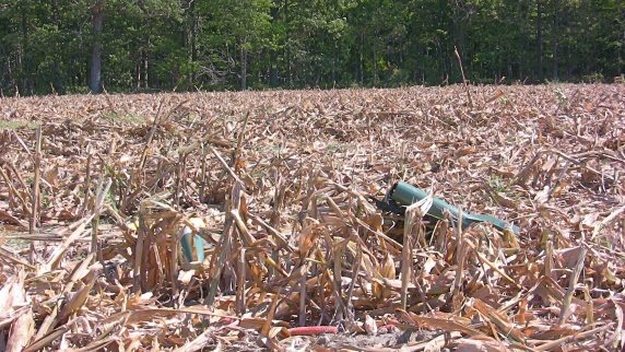 R2/V2 Landed close to the tree edge