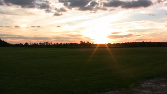 Sunset on the sod farm