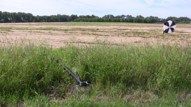 Shaken, Not Stirred landed in
        clump of soft grass